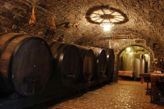 Turisticna Kmetija Birsa Βίλα Dobravlje Εξωτερικό φωτογραφία